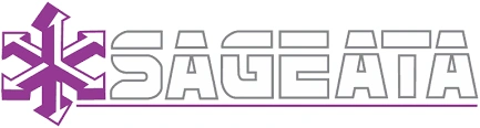 Logo Săgeata Optic